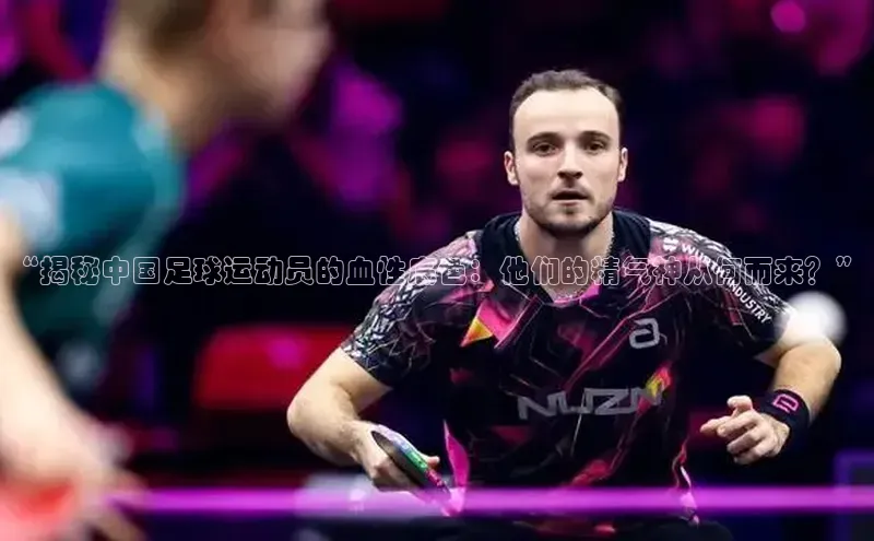 凯捷体育百家号