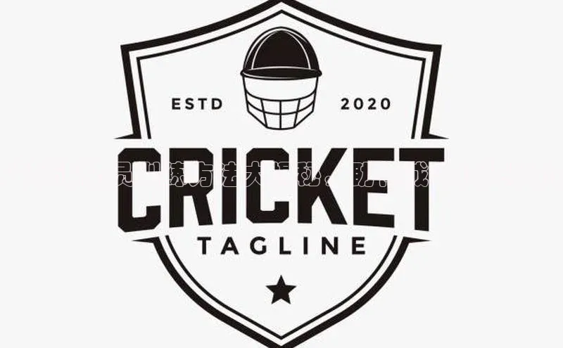 凯捷体育梯哥哥科技