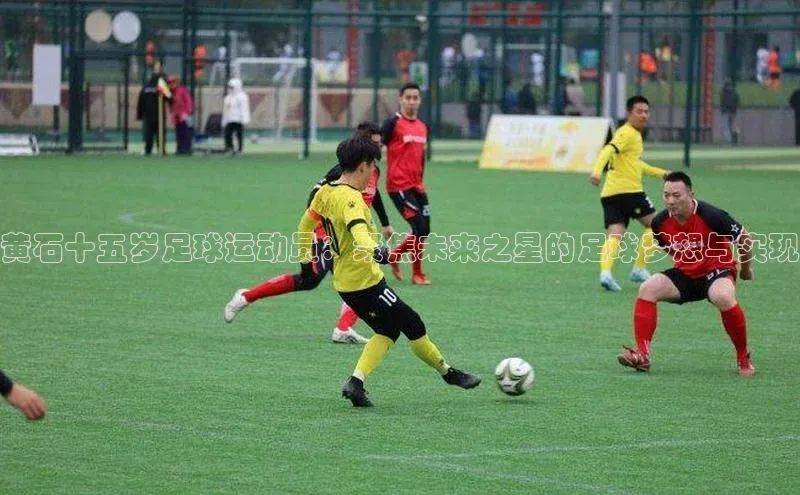 意昂4凯捷体育诸葛科技