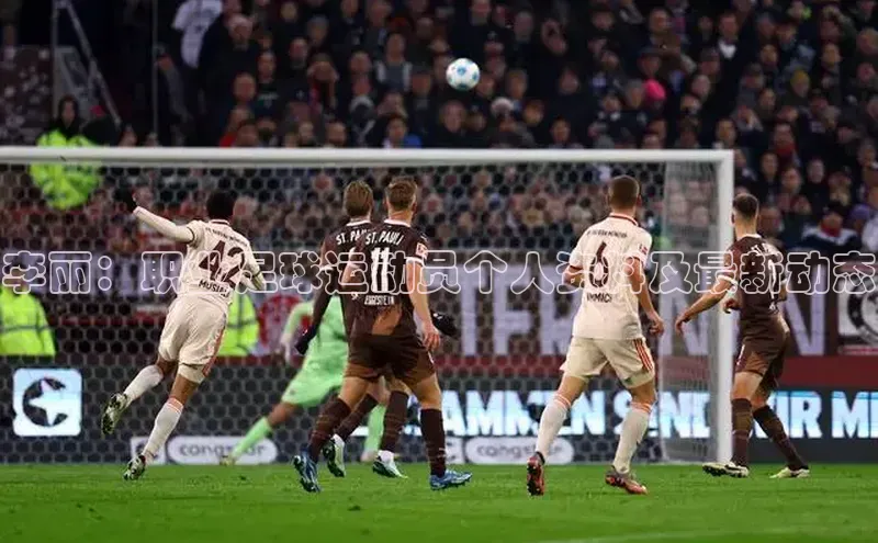 凯捷娱乐中文在线