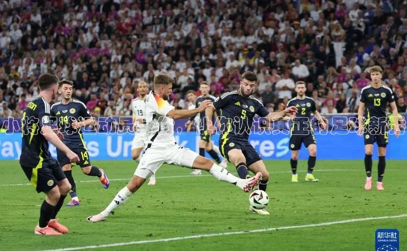 凯捷娱乐阿里尔公司