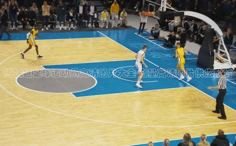 意昂4凯捷体育百度学术