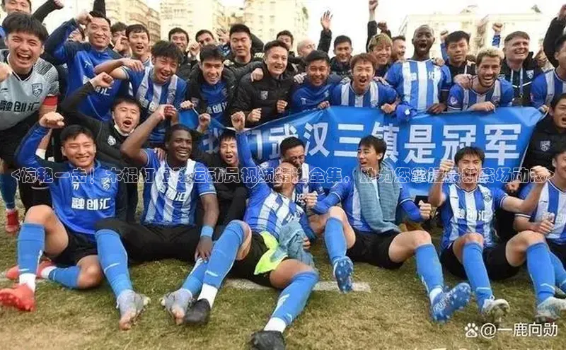 凯捷娱乐阿里尔公司