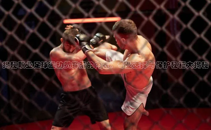 凯捷娱乐中文在线