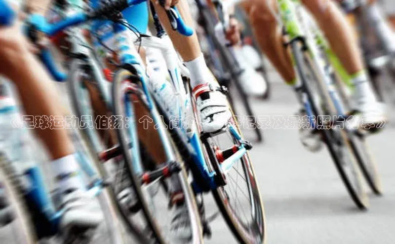 凯捷体育雷柏科技